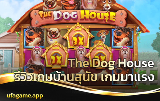 the dog house
